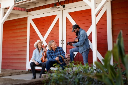 You are currently viewing Custom Shed Maintenance Tips for Longevity and Performance