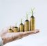 Exploring the Benefits of SMSF